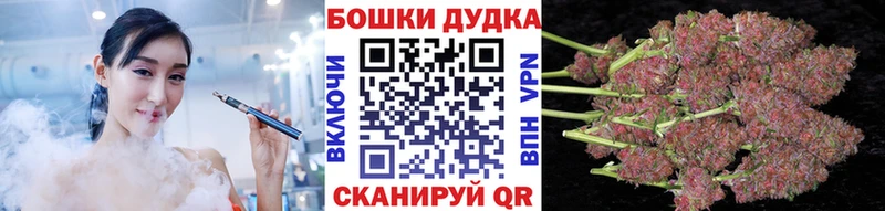 Где продают наркотики Лениногорск КОКАИН  СОЛЬ  кракен ССЫЛКА  Гашиш  Псилоцибиновые грибы 