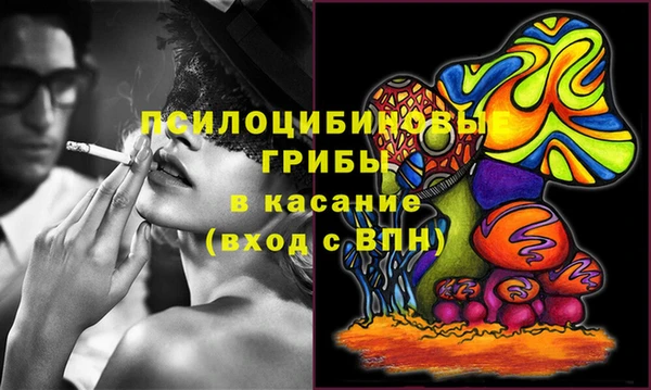 дурь Медвежьегорск