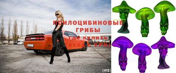прущая мука Михайлов