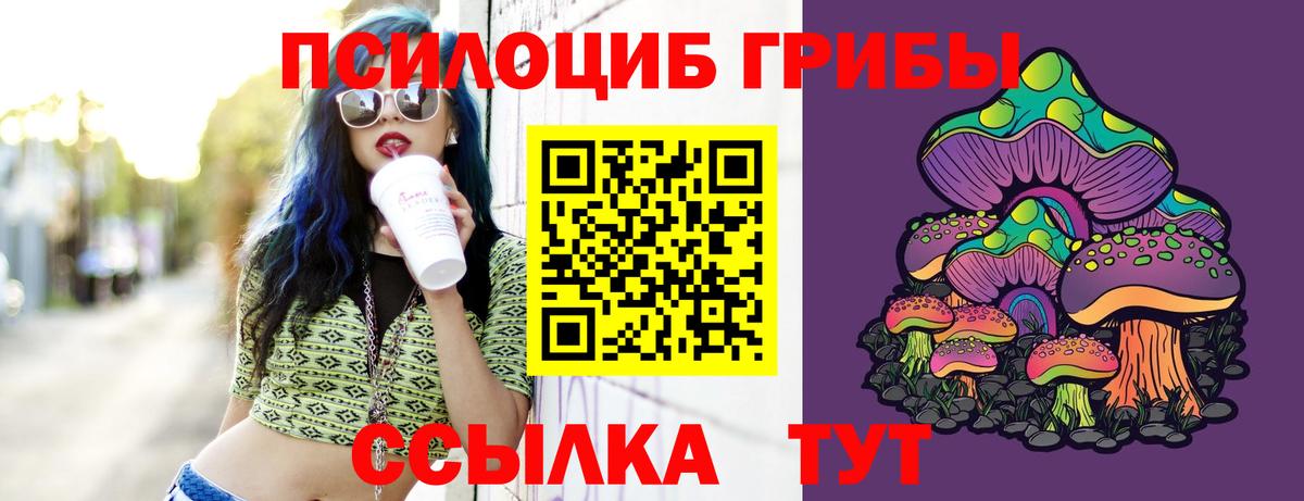 Галлюциногенные грибы мухоморы  Вход с VPN  Лениногорск 